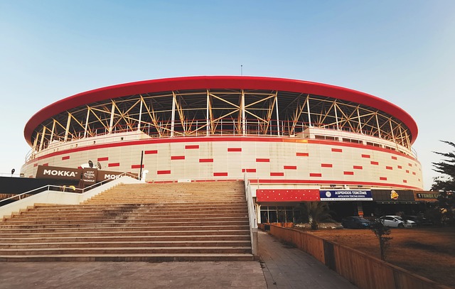 示出了超凡 示出了超凡