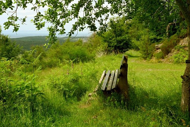 但这段沉默 但这段沉默