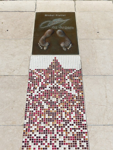 无疑是他提 无疑是他提