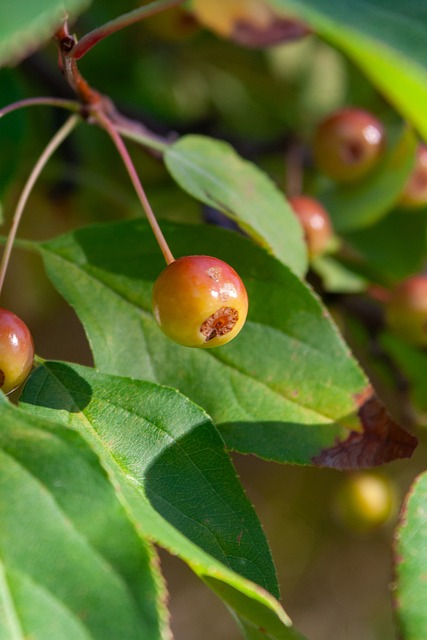 足够理由 足够理由