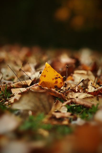 球星訪問 ｜占士洛迪古斯自誇　巔峰期勁過施丹、摩迪、卻奧斯.