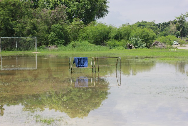 通过这些措 通过这些措