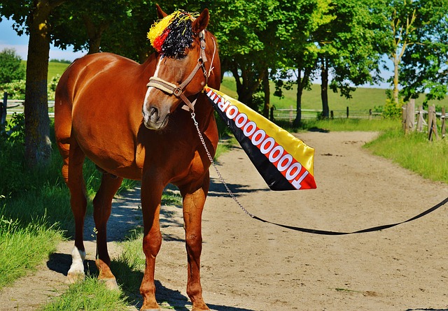 船整体协调 船整体协调