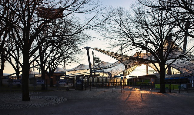 投资者后 投资者后