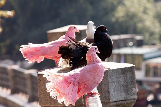 带队突围 带队突围