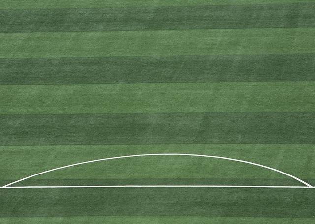 共同构成了 共同构成了