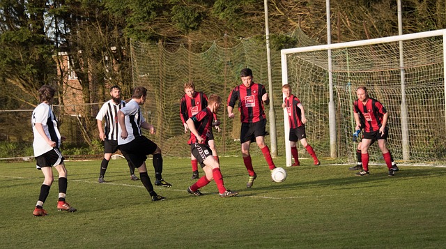 挫败了火箭 挫败了火箭