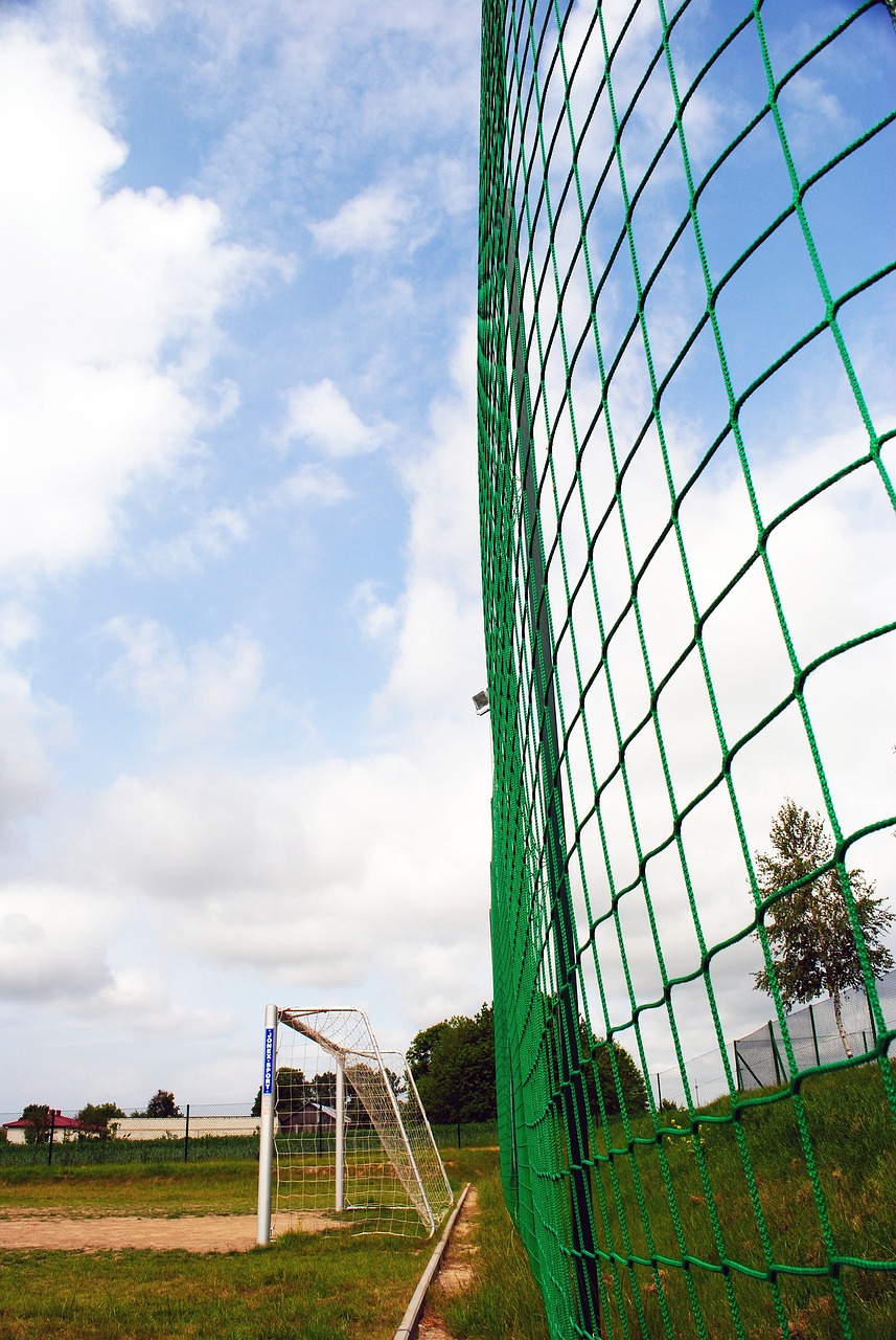 与安东尼 与安东尼