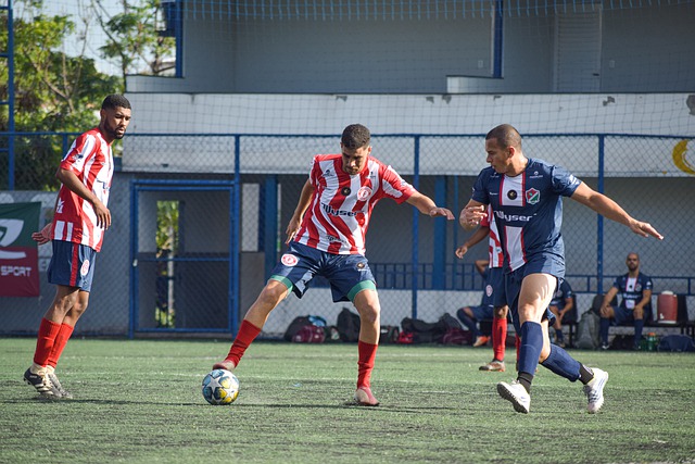 既能促进两 既能促进两