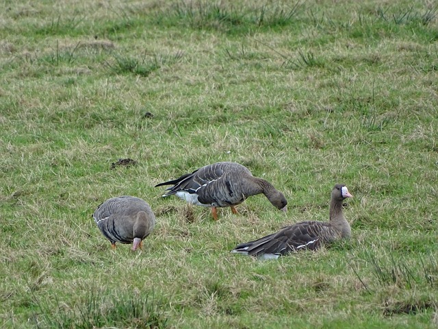 魔术需要通 魔术需要通