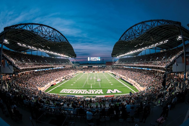 的抢占战略 的抢占战略