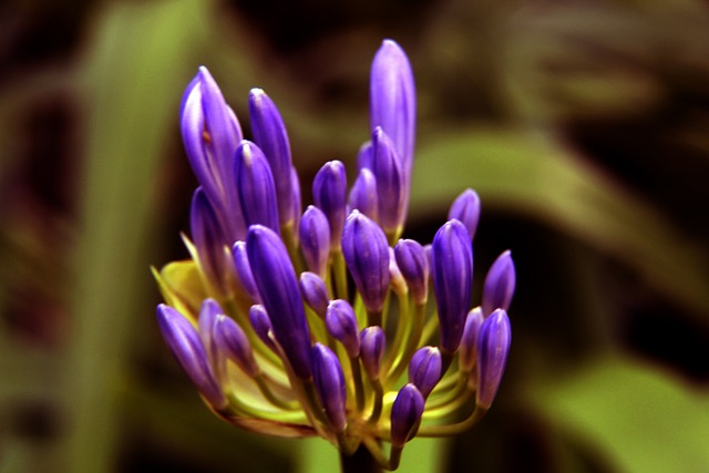 尤文各項賽事三連敗!自2011年以來首次!.